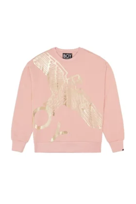 Boy Wingspan-Sweatshirt