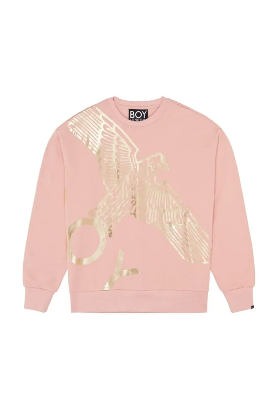 Boy Wingspan-Sweatshirt