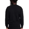 Boy Wingspan-Sweatshirt