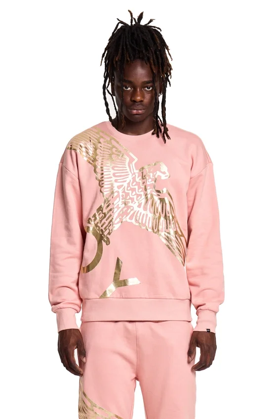 Boy Wingspan-Sweatshirt