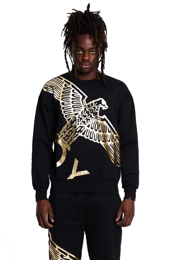Boy Wingspan-Sweatshirt